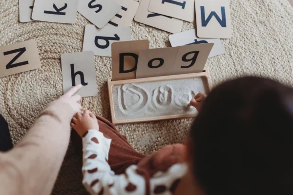 Alphabet Flashcards Montessori Waldorf Lern-Spiel-Ressource